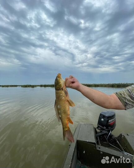 Рыбалка. Охота. Организация активного отдыха