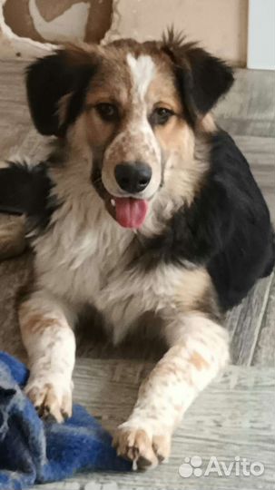 Жду своего человека