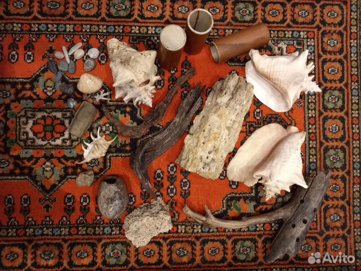 Аквариум:ракушки,камни,коряги,обогреватель