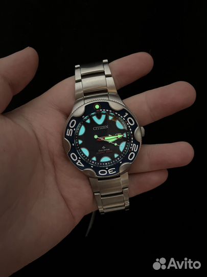 Citizen Eco-Drive Promaster Orca