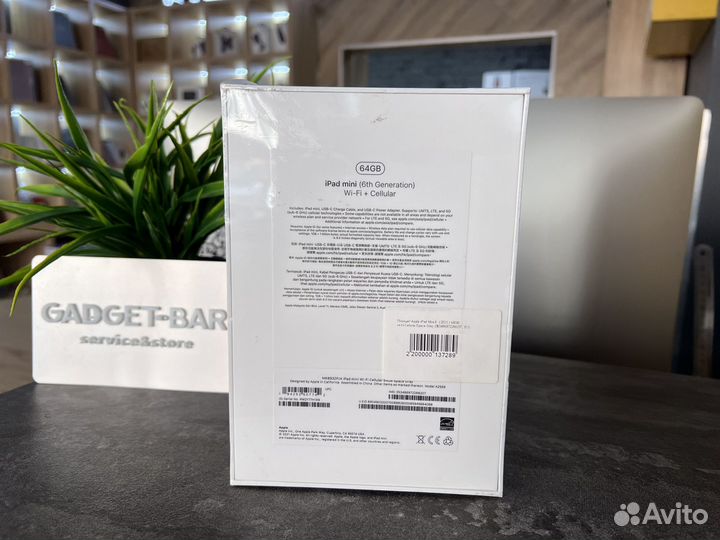 Apple iPad mini 6 64g WiFi +Cellular space gray