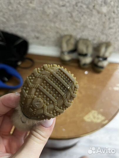 Обувь для собак мелких пород