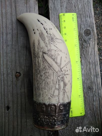 Сувенир Барк Вероника