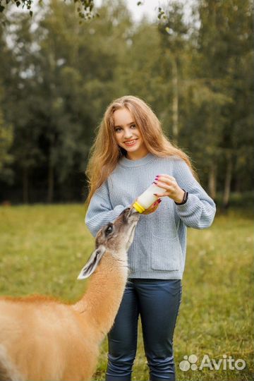 Любая работа, подработка