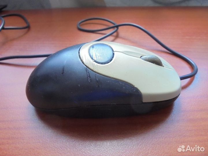 Компьютерная мышь Genius NetScroll 110