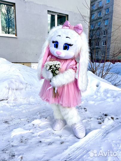 Экспресс поздравление