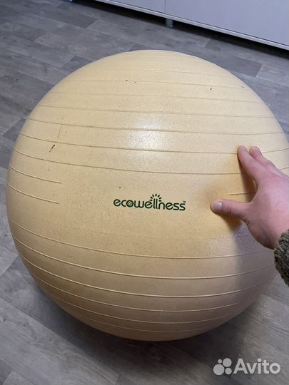 Мяч гимнастический Ecowellness