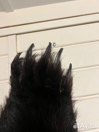 Шкура медведя (имитация )