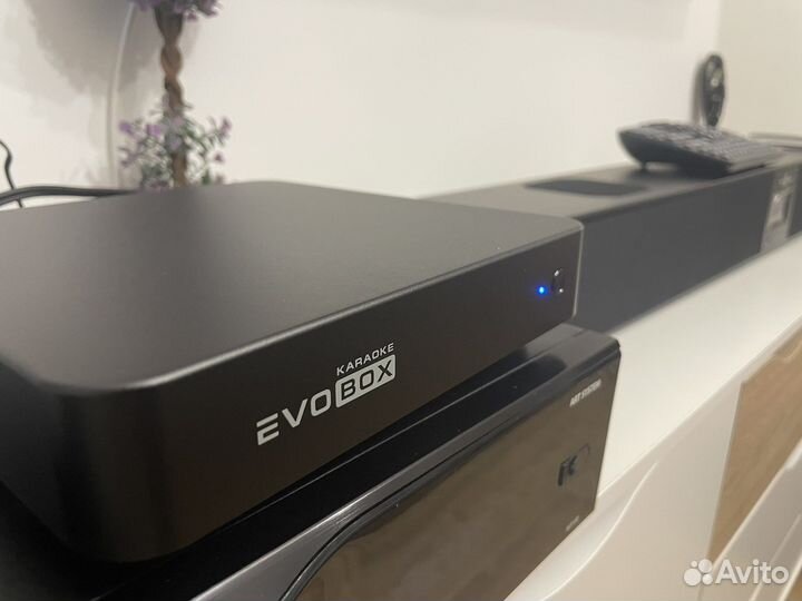 Комплект Evobox и микрофоны se200d