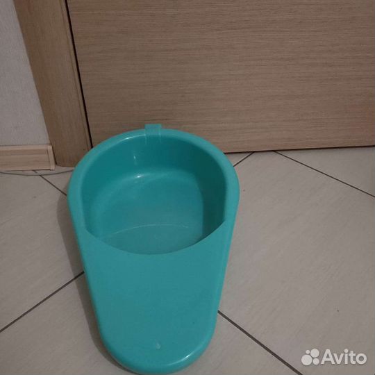 Утка медицинская