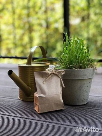 Мандарин из пряжи. Связанный мандарин