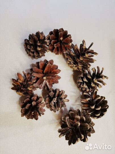 Набор природных материалов для поделок, творчества