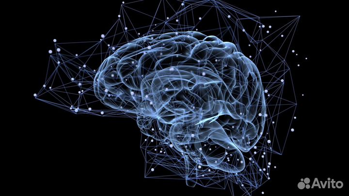 Анализ данных. Бизнес-консалтинг