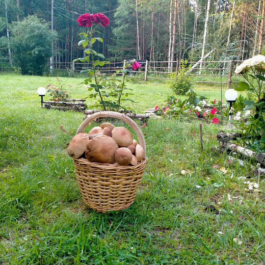 Дача 70 м² на участке 10 сот.