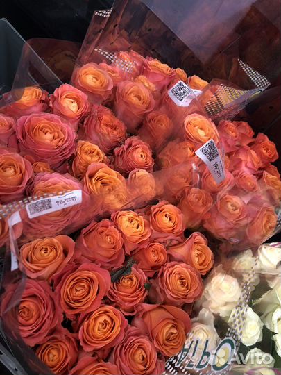 Цветы оптом розы