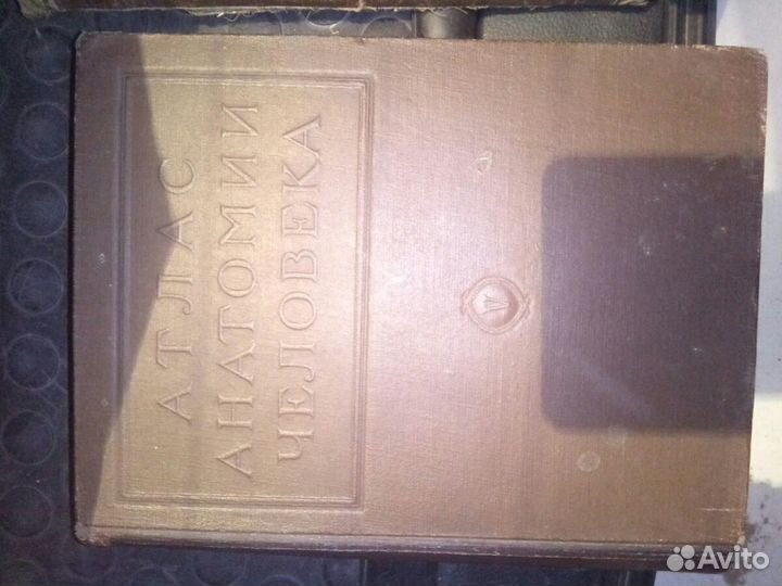 Атлас Анатомии Человека