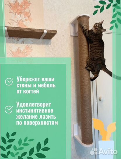 Когтеточка для кошек