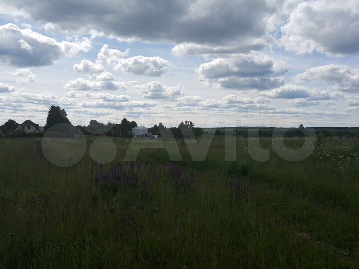 Участок 1,7 га (ИЖС)