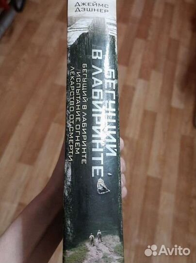 Книга Бегущий в лабиринте джеймс дэшнер