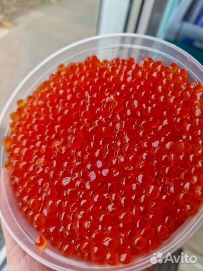 Красная икра форели,кеты