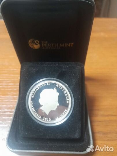 Австралийская сахарная летяга