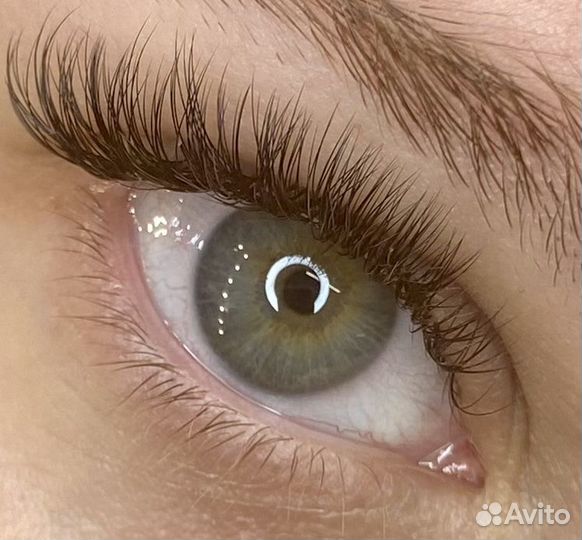 Наращивание ресниц Кингисепп/Питер