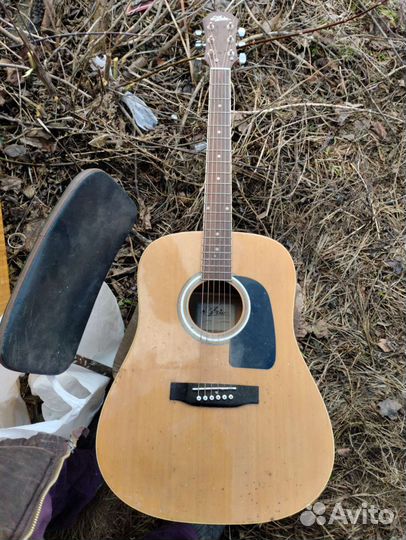 Шестиструнная гитара