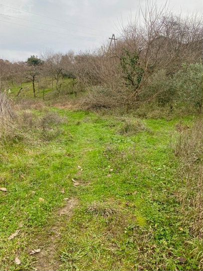 Участок 7 сот. (СНТ, ДНП)