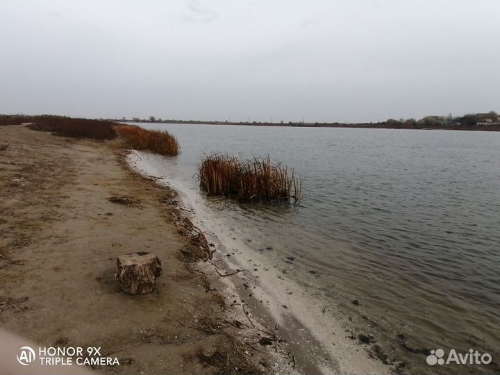 Организация рыбалки