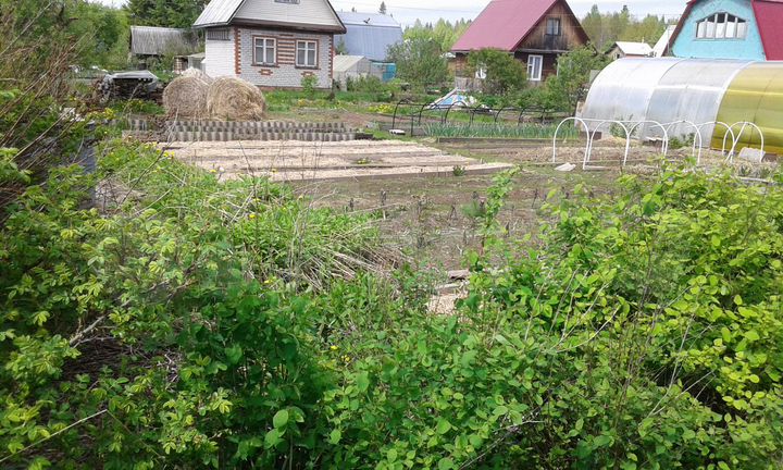 Участок 6 сот. (СНТ, ДНП)