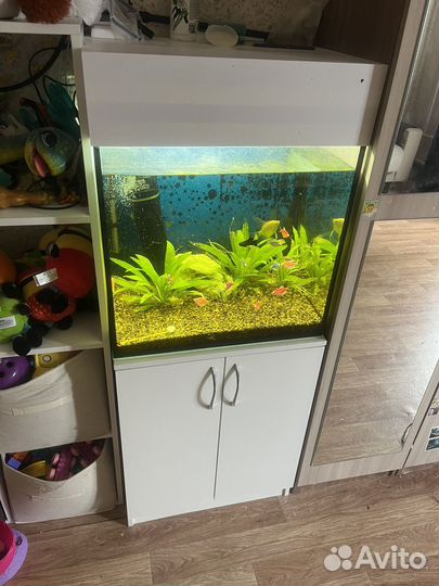 Продам 2 аквариума