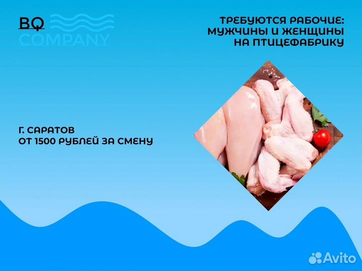 Рабочие Птицефабрика Оплата Каждый День Без Опыта