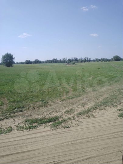 Участок 50 сот. (СНТ, ДНП)