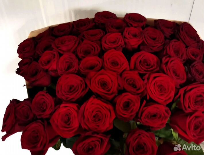 Розы, букет цветов, 101 роза, 51 роза. Розы опт