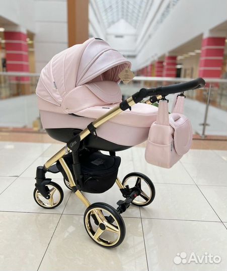 Adamex gloria special edition