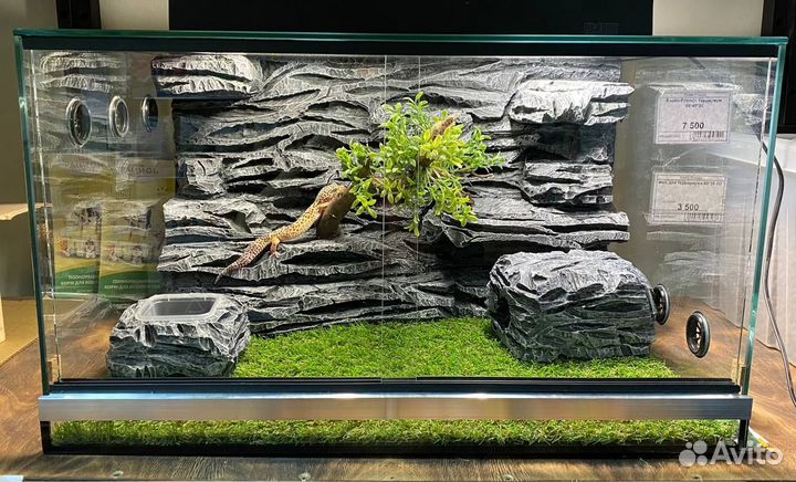 Террариум на заказ