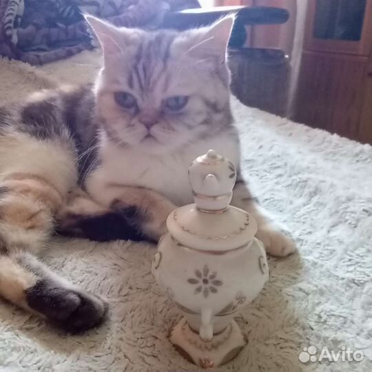 Самовар СССР фарфор