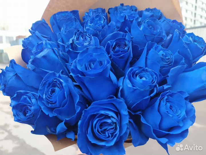 Розы, синие розы 25 шт
