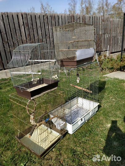 Клетки средние и большие