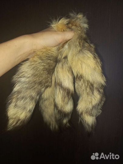 Лисьи хвосты