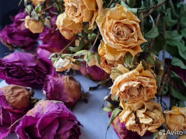 Сухоцветы для творчества розы