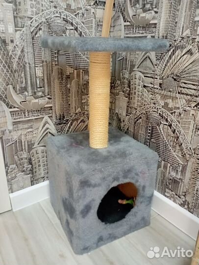 Домик когтеточка