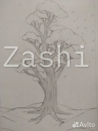 Рисунок карандашом Дерево By Zashi