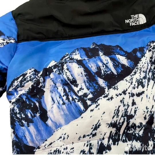 Пуховик The North Face 700