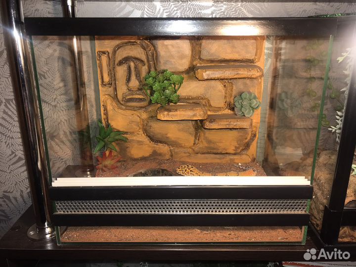 Террариум для рептилий