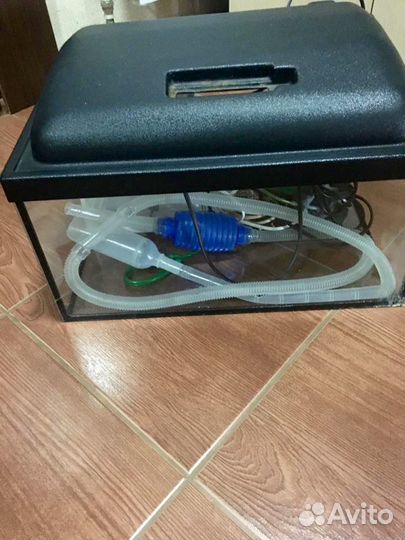 Аквариум и все необходимое