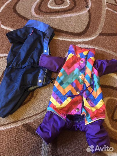 Одежда для собак пакетом