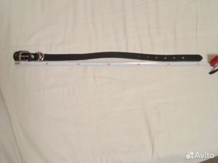 Ошейник для собаки