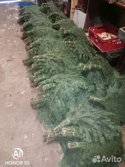 Веник пихтовый