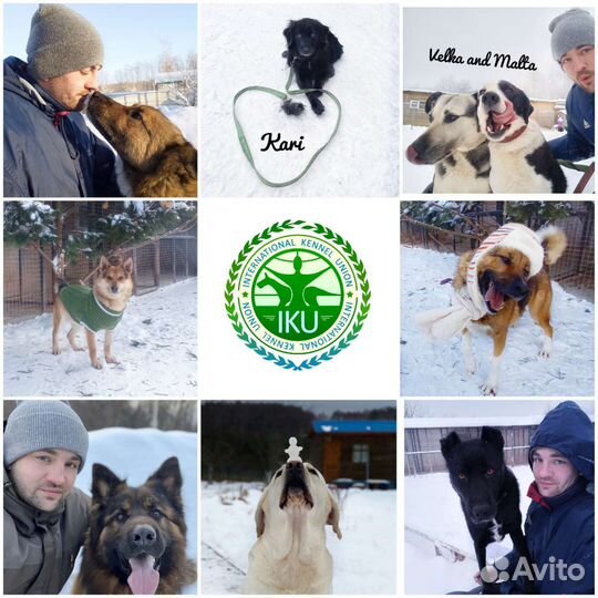 Инструктор-Кинолог